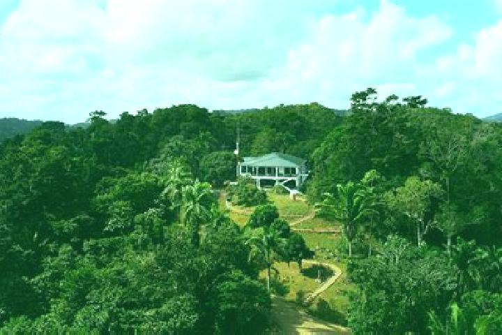 Sophia, 22 — Escort in Silk Grass, Belize