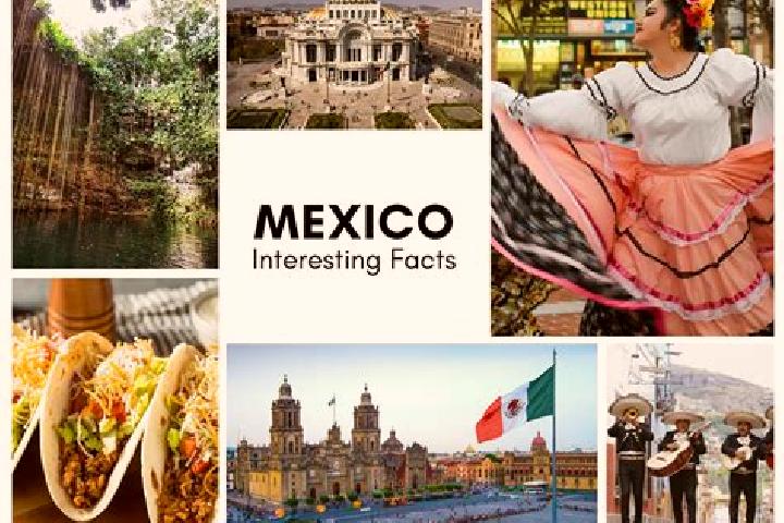 Sophia, 22 — Escort in Tibolon, Mexico