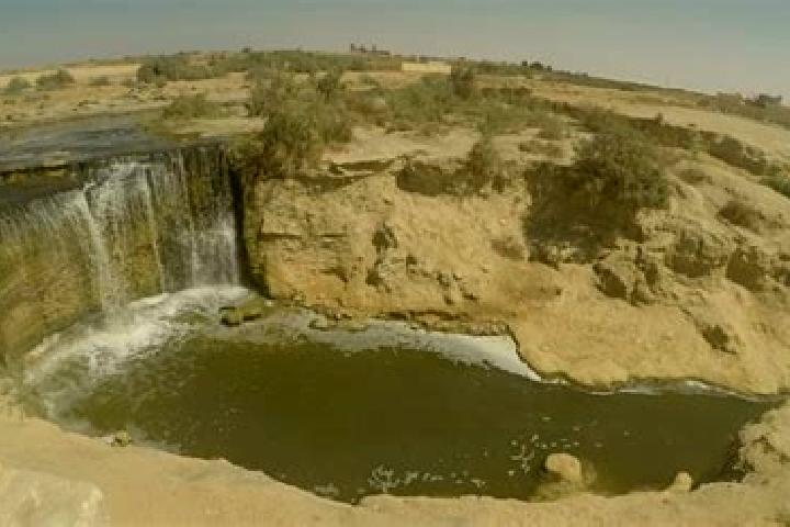 Sophia, 22 — Escort in Wadi Utbah, Libya