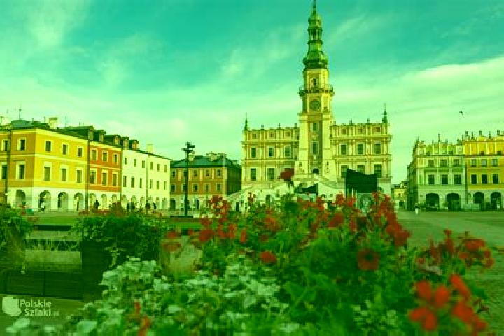Sophia, 22 — Escort in Zamosc, Poland