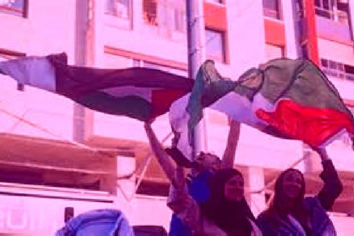 Sophia, 23 — Escort in An Nazlah, Palestine