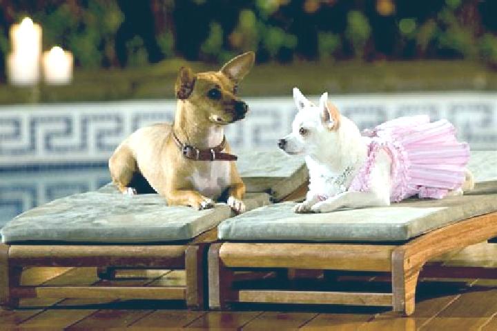 Sophia, 23 — Escort in Chihuahuita, Mexico