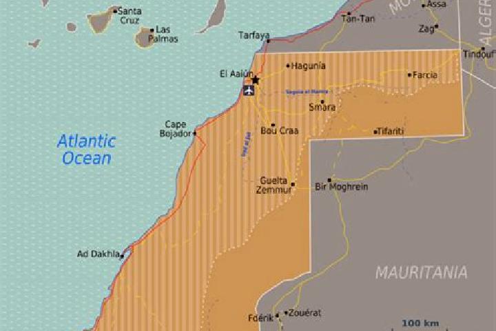 Sophia, 23 — Escort in El Marsa, Western Sahara