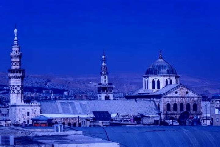 Sophia, 23 — Escort in Homs, Syria