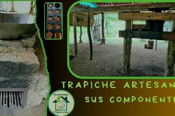 Sophia, 23 — Escort in Las Casitas del Vegon de Nutrias, Venezuela