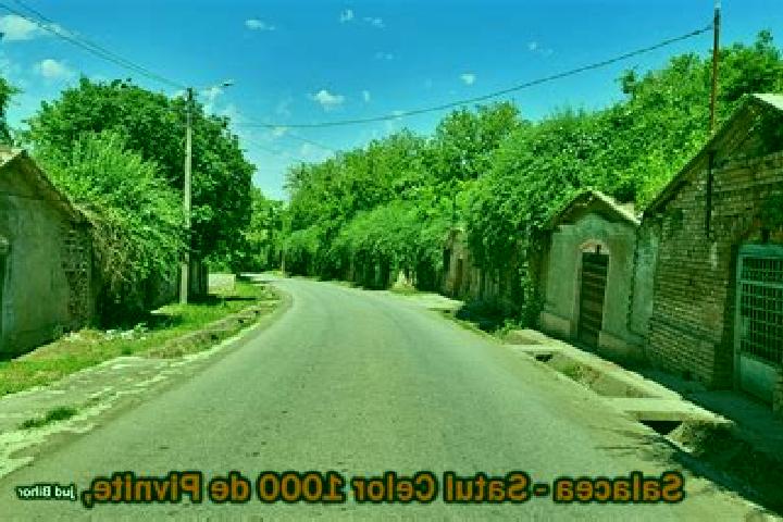 Sophia, 23 — Escort in Pestera, Romania