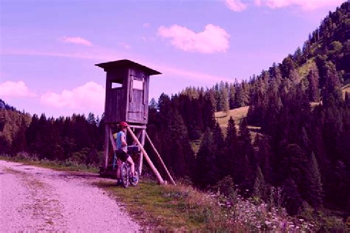 Sophia, 23 — Escort in Reichraming, Austria