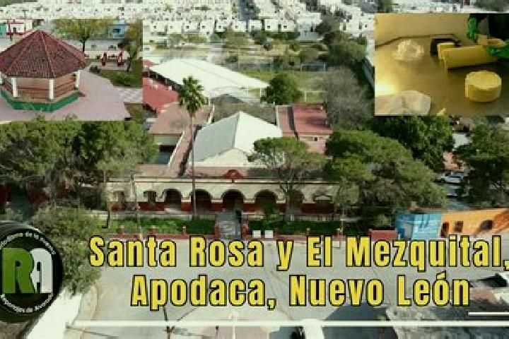 Sophia, 23 — Escort in San Francisco del Mezquital, Mexico