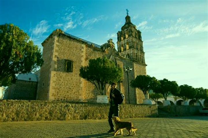 Sophia, 23 — Escort in Tres Alamos, Mexico
