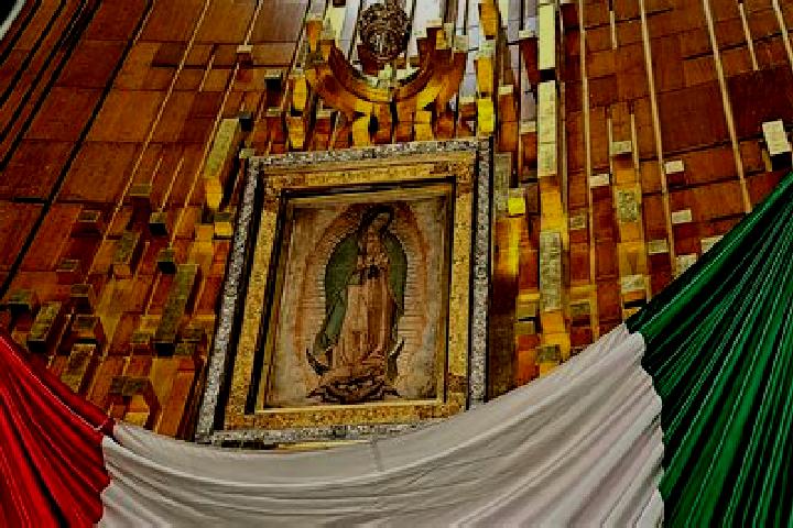 Sophia, 24 — Escort in Capilla de Guadalupe, Mexico