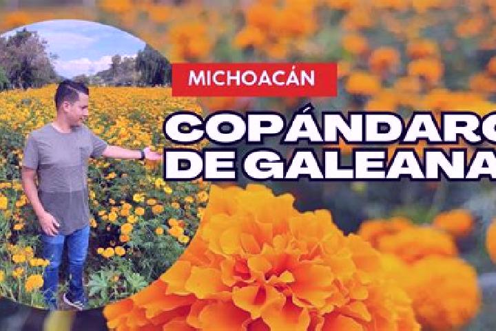 Sophia, 24 — Escort in Copandaro (Copandaro del Cuatro), Mexico