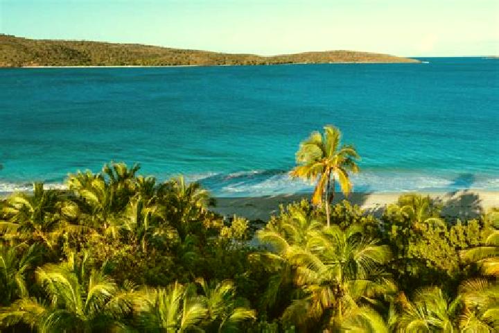 Sophia, 24 — Escort in Culebra, Puerto Rico