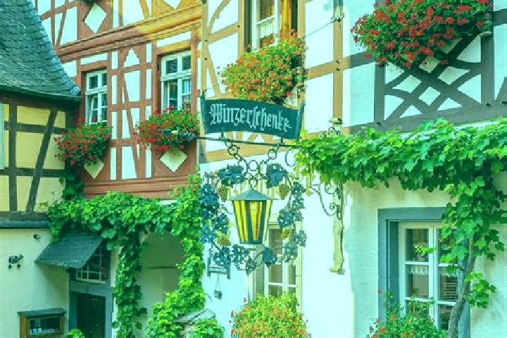 Sophia, 24 — Escort in Negernbotel, Germany