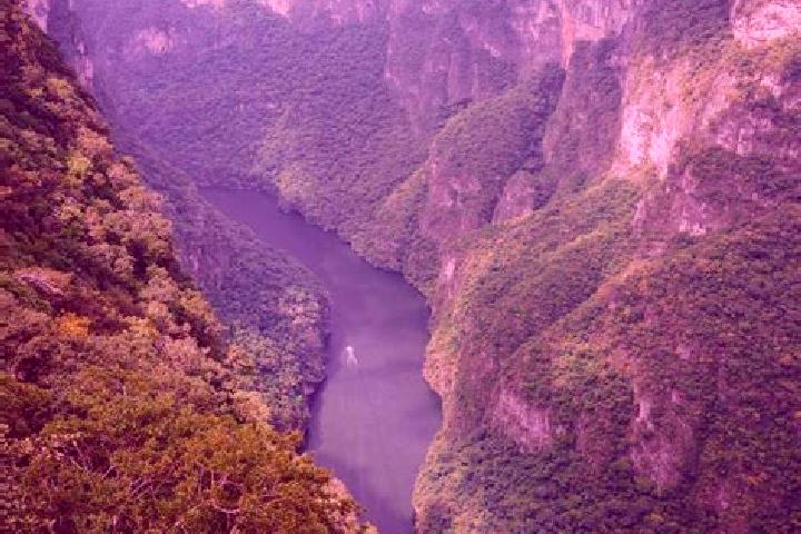 Sophia, 24 — Escort in Sumidero, Mexico