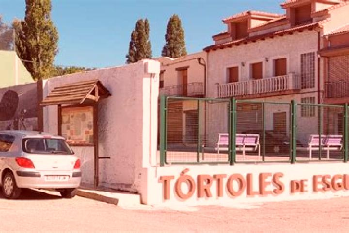 Sophia, 24 — Escort in Tortoles del Esgueva, Spain