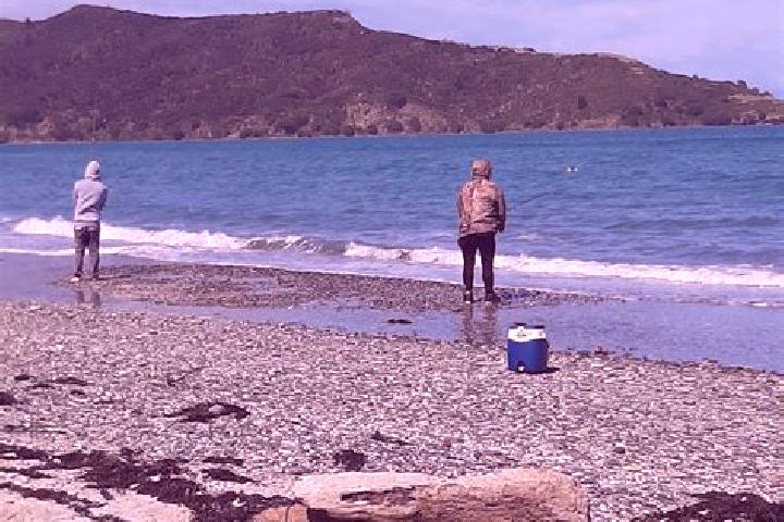 Sophia, 25 — Escort in Colville, New Zealand