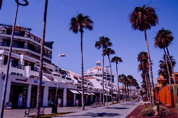 Sophia, 25 — Escort in Playa de las Americas, Spain