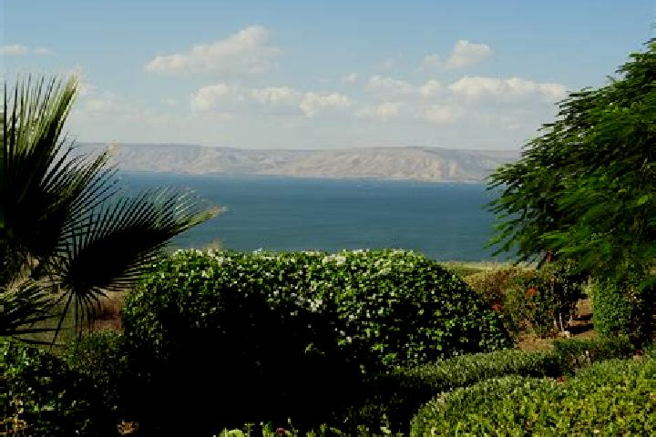 Sophia, 25 — Escort in Tiberias, Israel