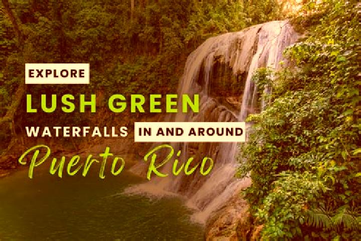 Sophia, 25 — Escort in Utuado, Puerto Rico