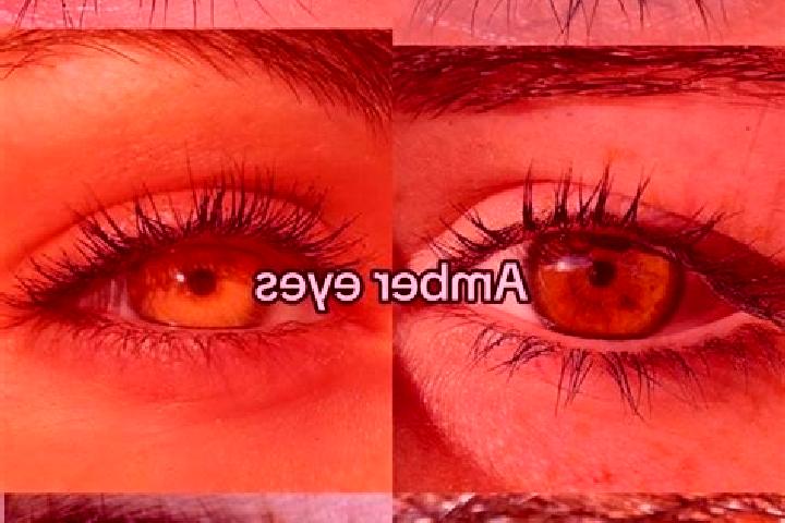 Sophia, 26, a chestnut amber-eyed indian companion based in Carpesica. Offering Overnight, BDSM, Tantra. Available for incall and outcall, overnight bookings...