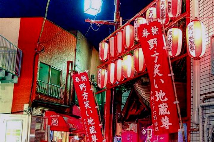 Sophia, 26 — Escort in Nogata, Japan