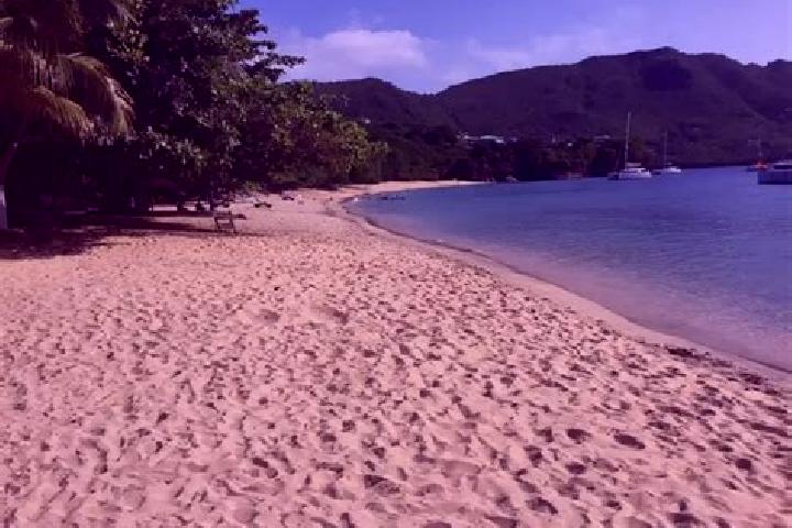 Sophia, 26 — Escort in Petit Bordel, Saint Vincent and the Grenadines