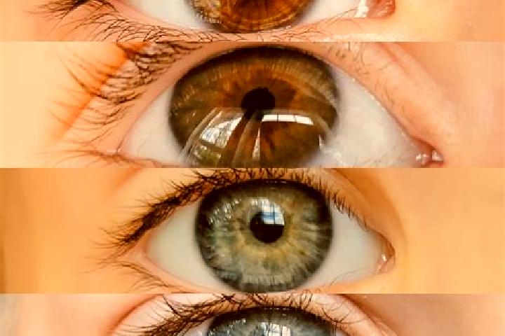 Sophia, 27, a chestnut grey-eyed mixed companion based in Dariba. Offering Roleplay, Travel Companion. Available for incall and outcall, overnight bookings a...