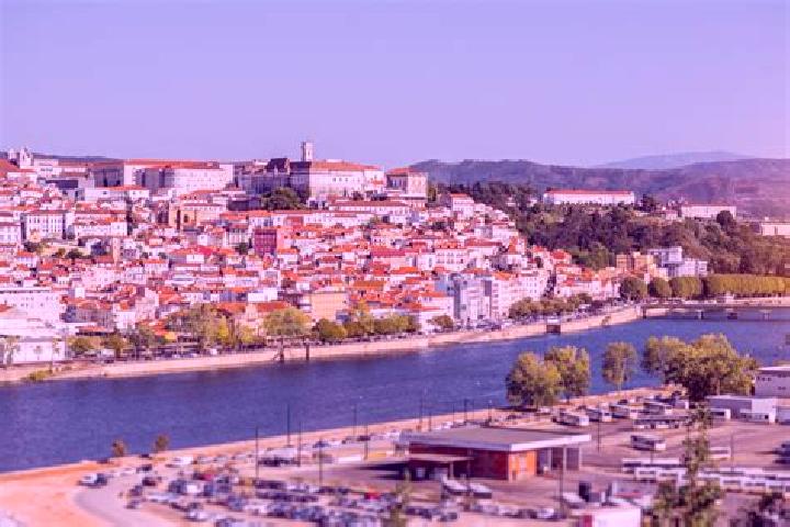 Sophia, 27 — Escort in Alferrarede, Portugal