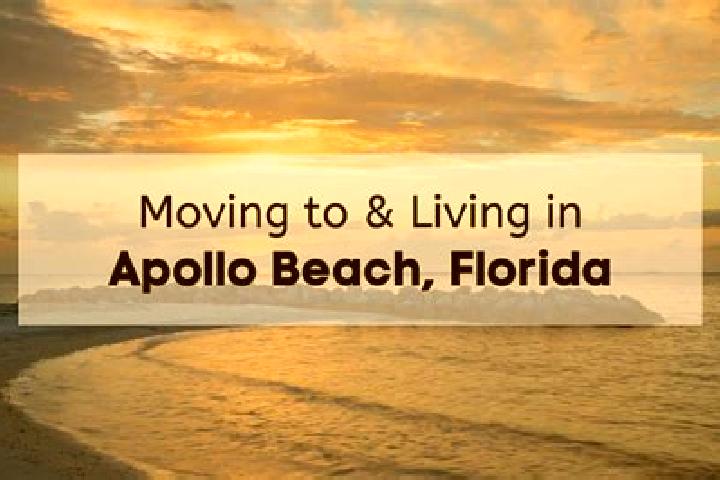 Sophia, 27 — Escort in Apollo Beach, United States