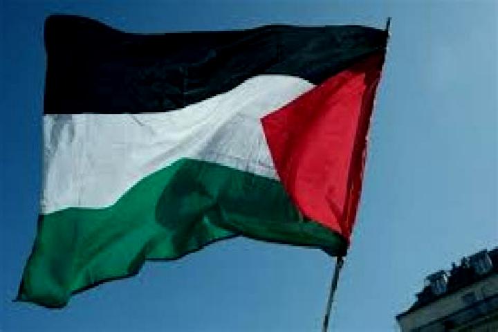 Sophia, 27 — Escort in Az Zubaydat, Palestine