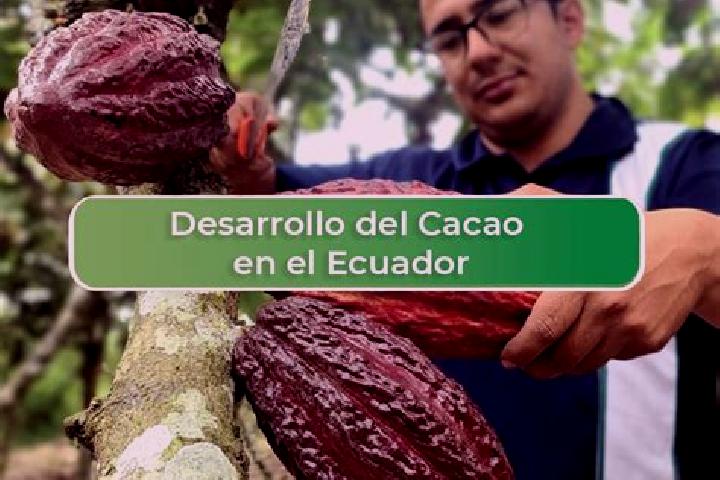 Sophia, 27 — Escort in El Cacao, Panama