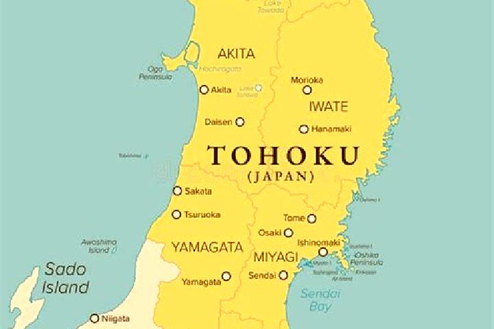 Sophia, 27 — Escort in Otsuchi, Japan