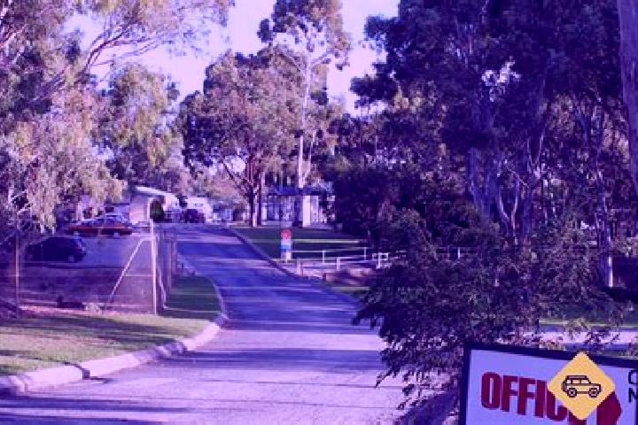 Sophia, 27 — Escort in Woodcroft, Australia