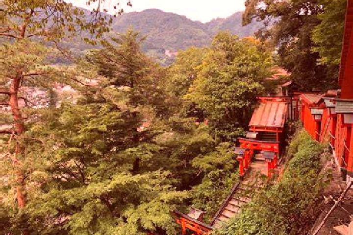 Sophia, 27 — Escort in Yakumo, Japan