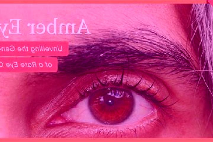Sophia, 28, a black amber-eyed middle eastern companion based in Perach. Offering Domination, 69, Roleplay. Available for incall and outcall, day and evening...