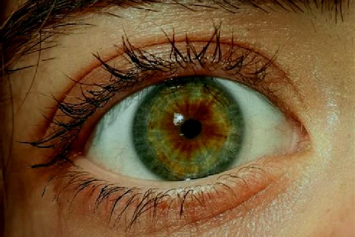 Sophia, 28, a red hazel-eyed european companion based in Laufelfingen. Offering Dinner Date, GFE, Tantra. Available for incall and outcall, day and evening d...