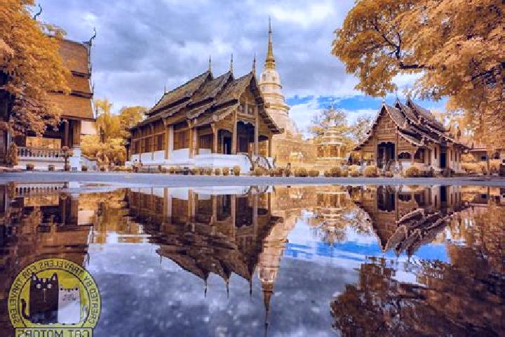 Sophia, 28 — Escort in Chom Phra, Thailand