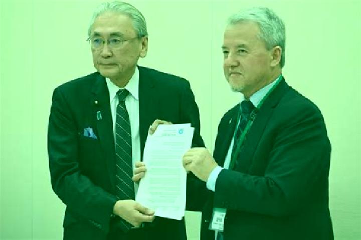 Sophia, 28 — Escort in Elne, France