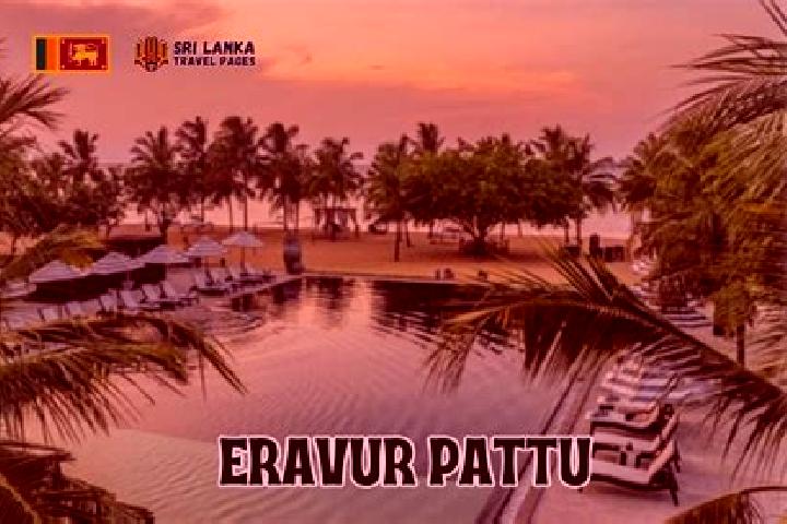 Sophia, 28 — Escort in Eravur Town, Sri Lanka