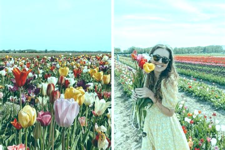 Sophia, 28 — Escort in Herrnbaumgarten, Austria
