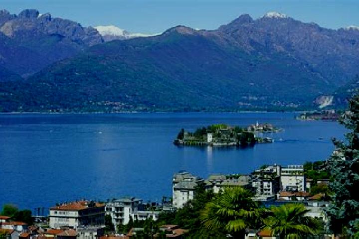 Sophia, 28 — Escort in Pino sulla Sponda del Lago Maggiore, Italy