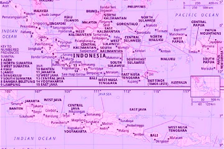 Sophia, 28 — Escort in Talangagung, Indonesia