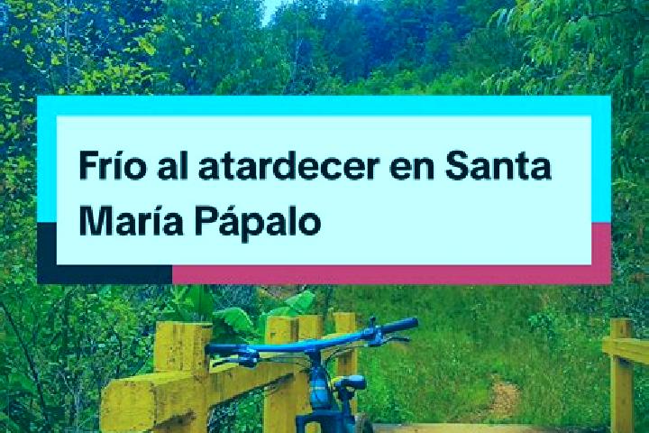 Sophia, 29 — Escort in Santa Maria Papalo, Mexico