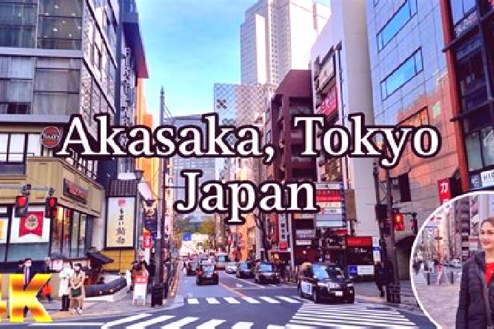 Sophia, 30 — Escort in Akasaka, Japan