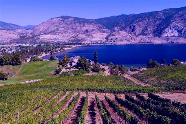 Sophia, 30 — Escort in Okanagan Mission, Canada