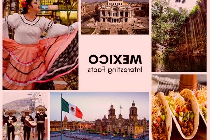 Sophia, 30 — Escort in Papaloctipan, Mexico