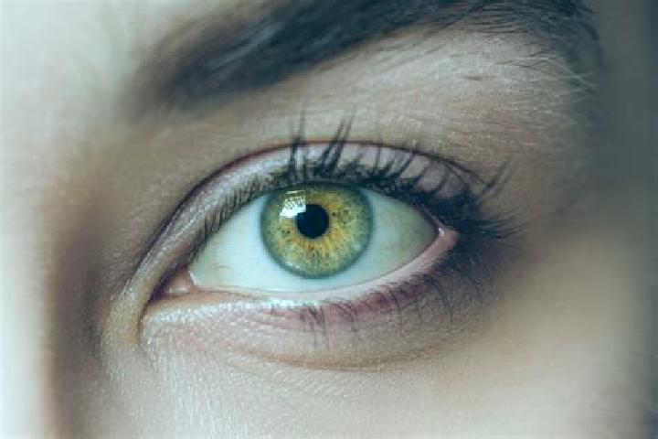 Sophia, 31, a red hazel-eyed mixed companion based in Tresboeuf. Offering Party Girl, Tantra, Domination. Available for incall and outcall, overnight booking...