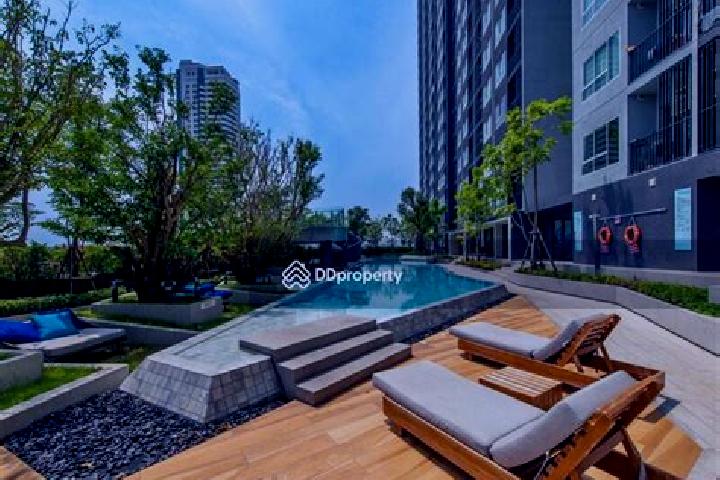 Sophia, 31 — Escort in Bang Phlat, Thailand