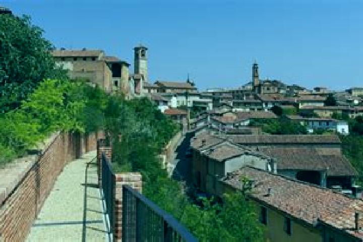 Sophia, 31 — Escort in Camagna Monferrato, Italy