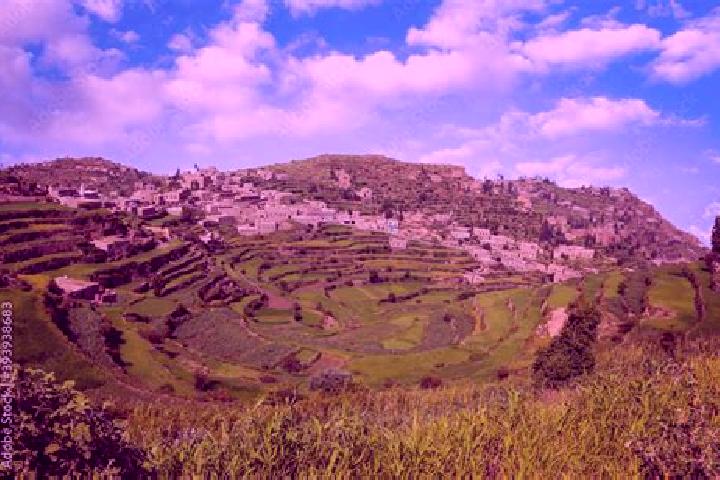 Sophia, 31 — Escort in Maqbanah, Yemen